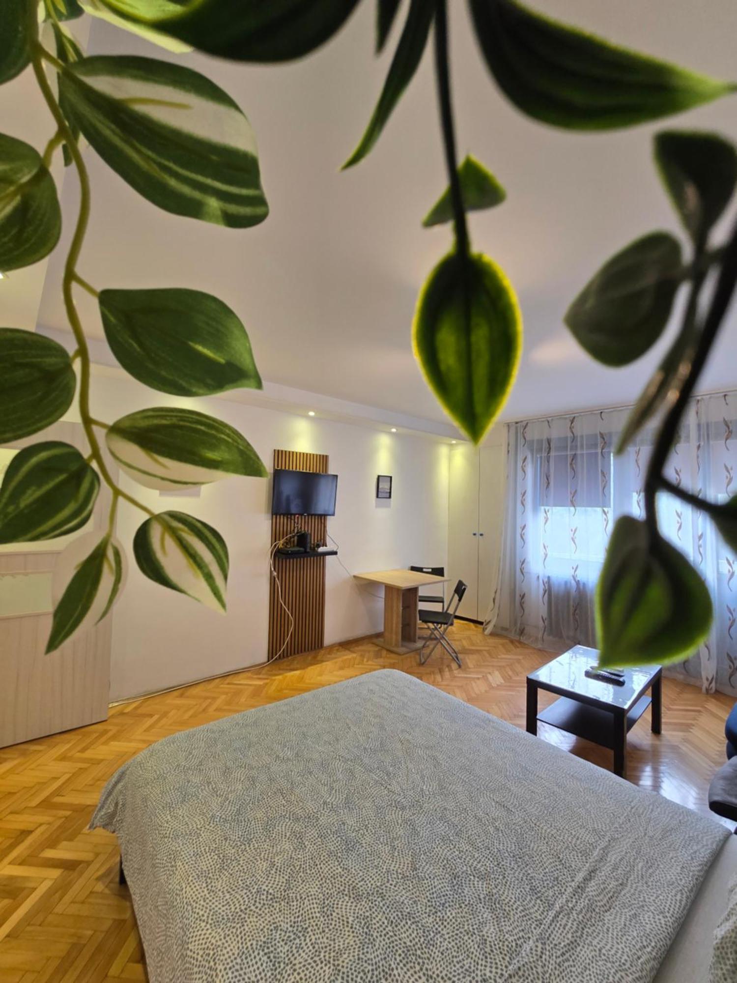 Azzurro Studio Apartment Belgrad Exterior foto