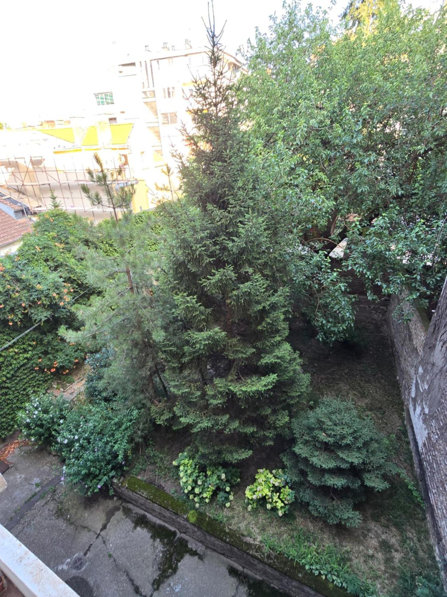 Azzurro Studio Apartment Belgrad Exterior foto